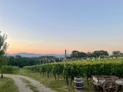 LaPia Percussina - A Boutique Biological Farm